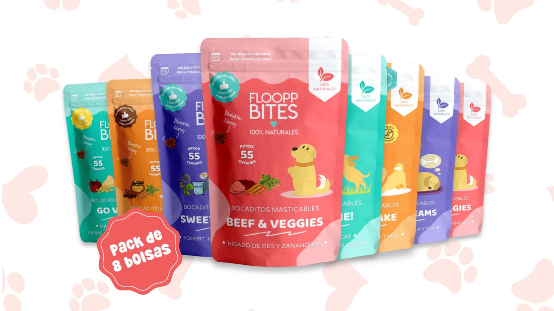 Guía completa de galletas para perros de Floopp Bites