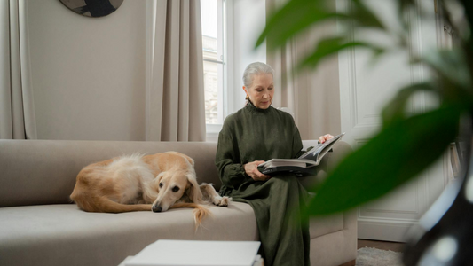 Galletas para perros mayores