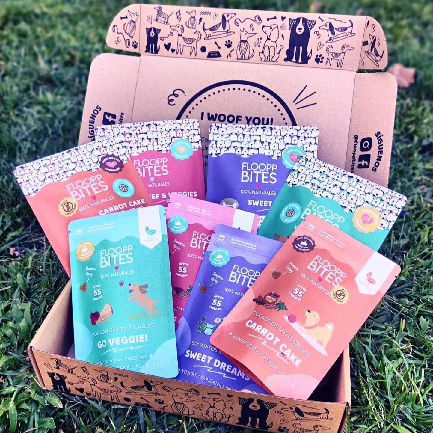 Los mejores snacks y galletas para perros sin aditivos ni conservantes Floopp Bites