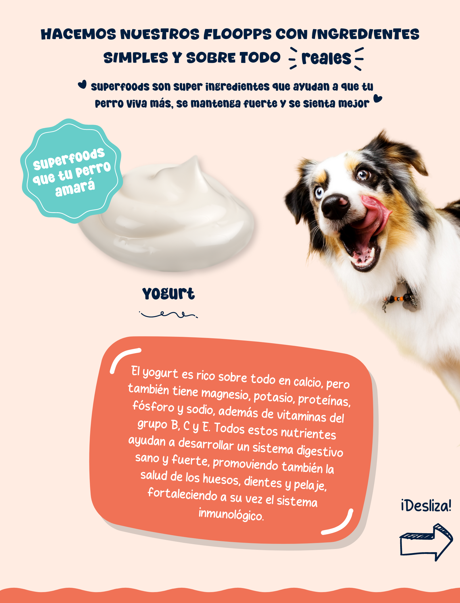 Ingredientes snacks y premios naturales para perros Floopp Bites - Yogurt