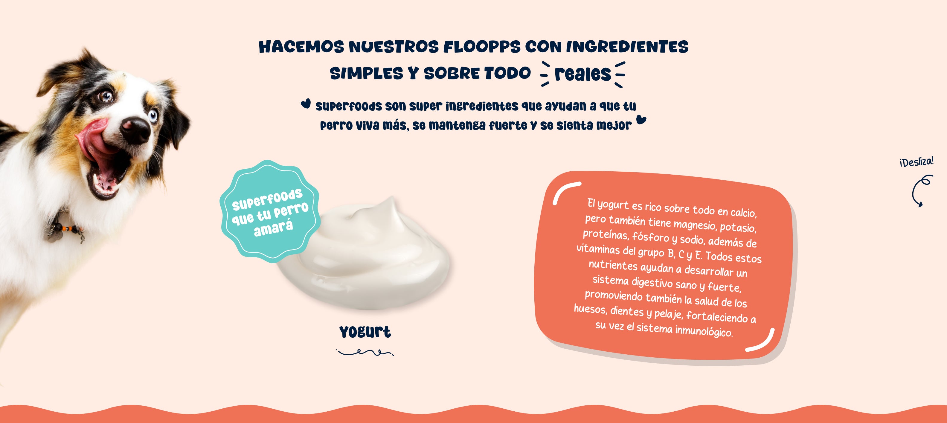 Ingredientes snacks y premios naturales para perros Floopp Bites - Yogurt