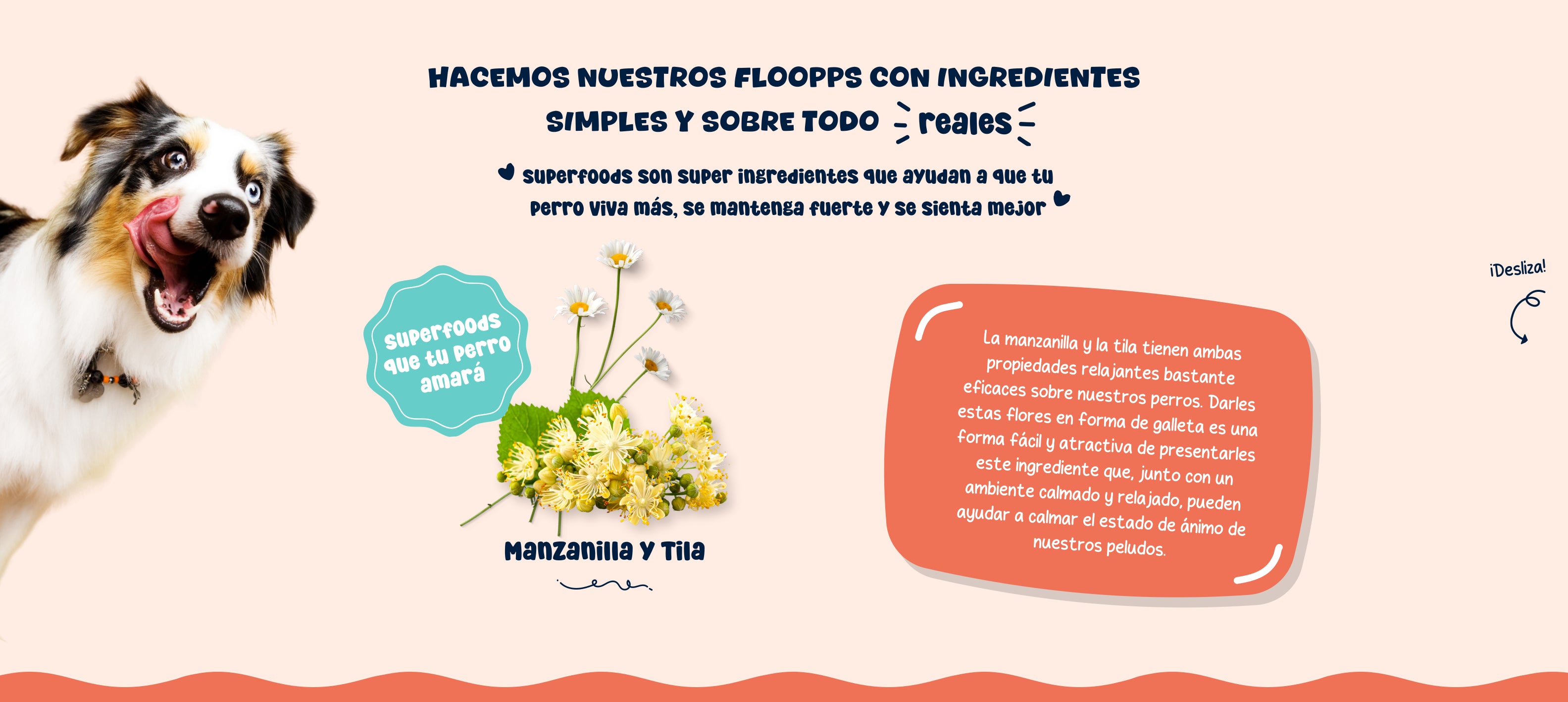 Ingredientes snacks y premios naturales para perros Floopp Bites - Manzanilla y tila