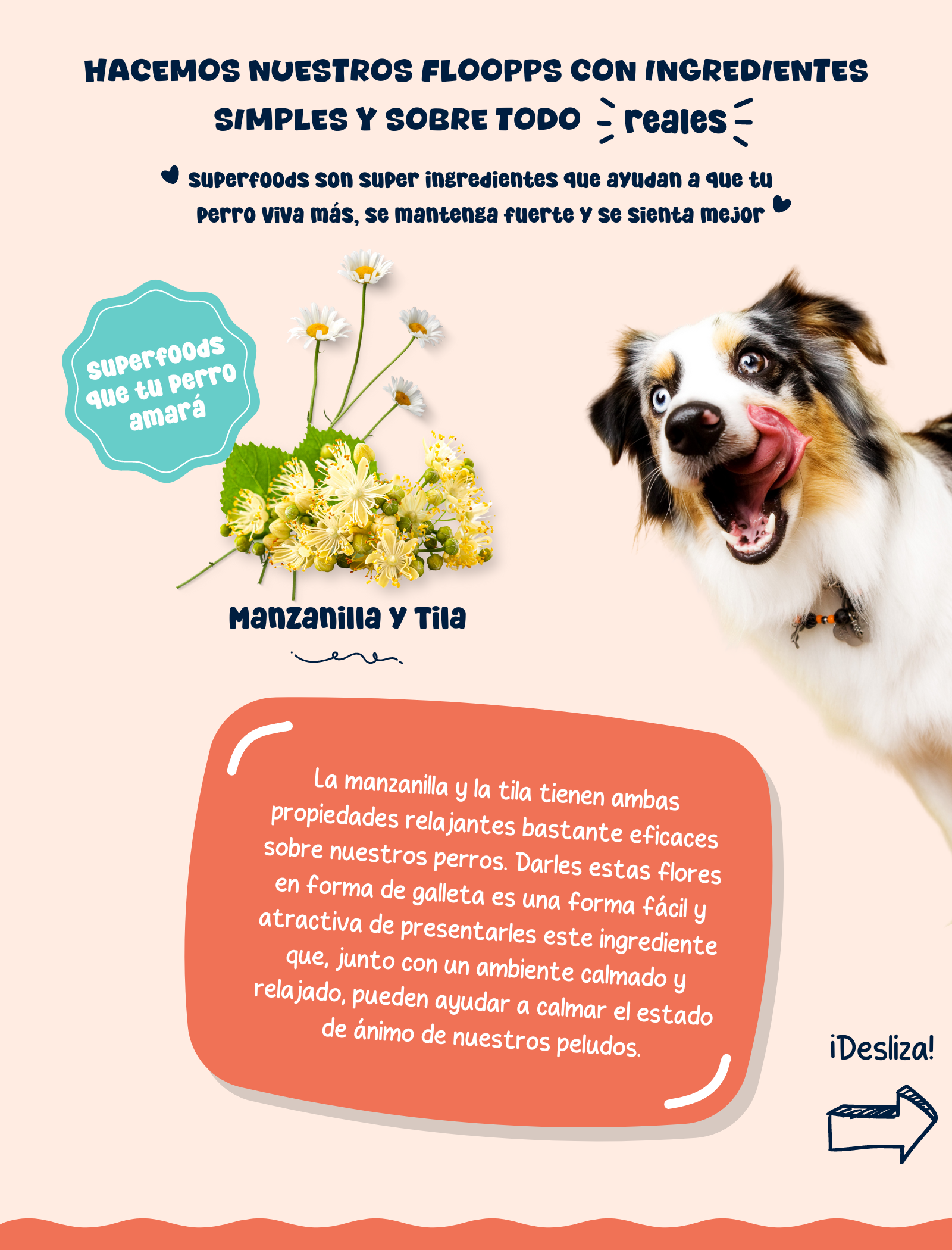 Ingredientes snacks y premios naturales para perros Floopp Bites - Manzanilla y tila