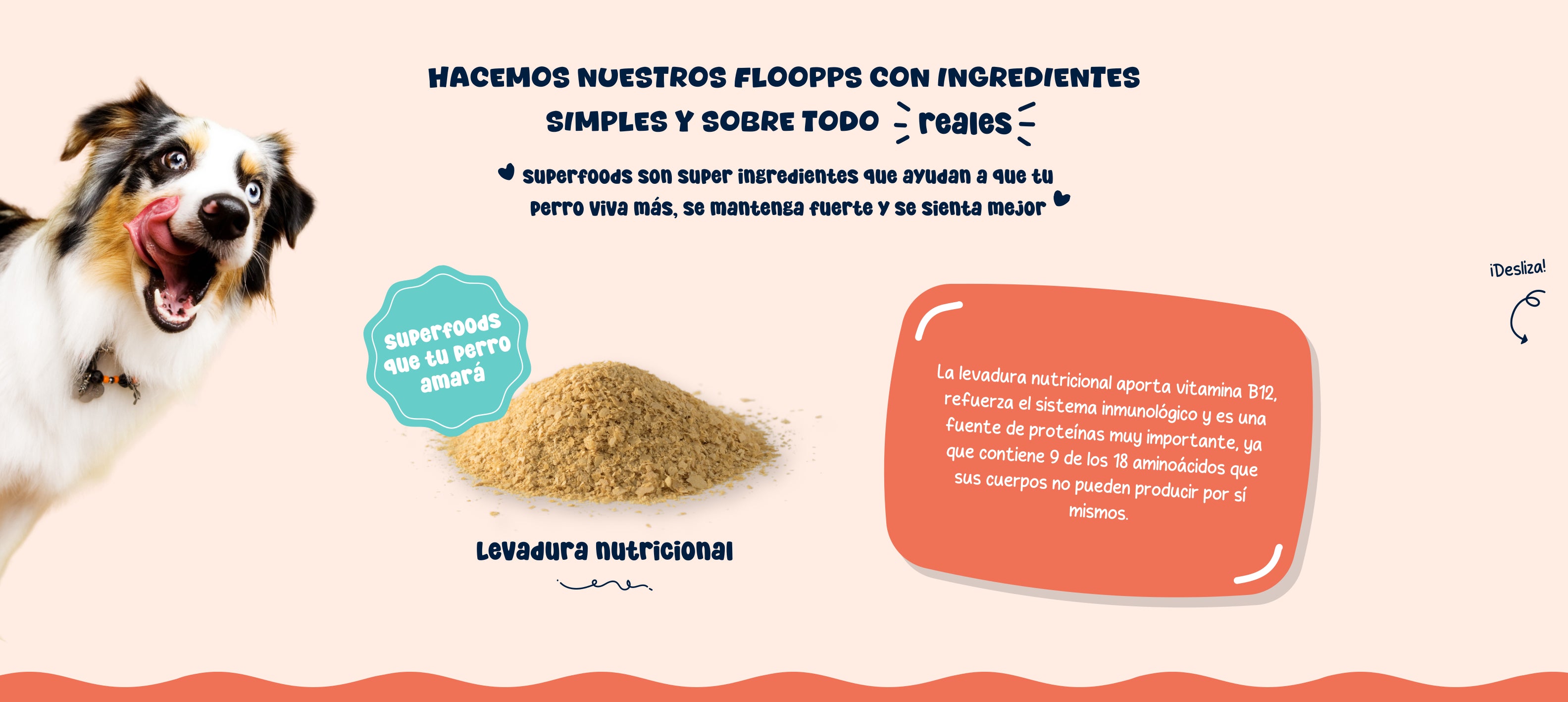 Ingredientes snacks y premios naturales para perros Floopp Bites - Levadura nutricional