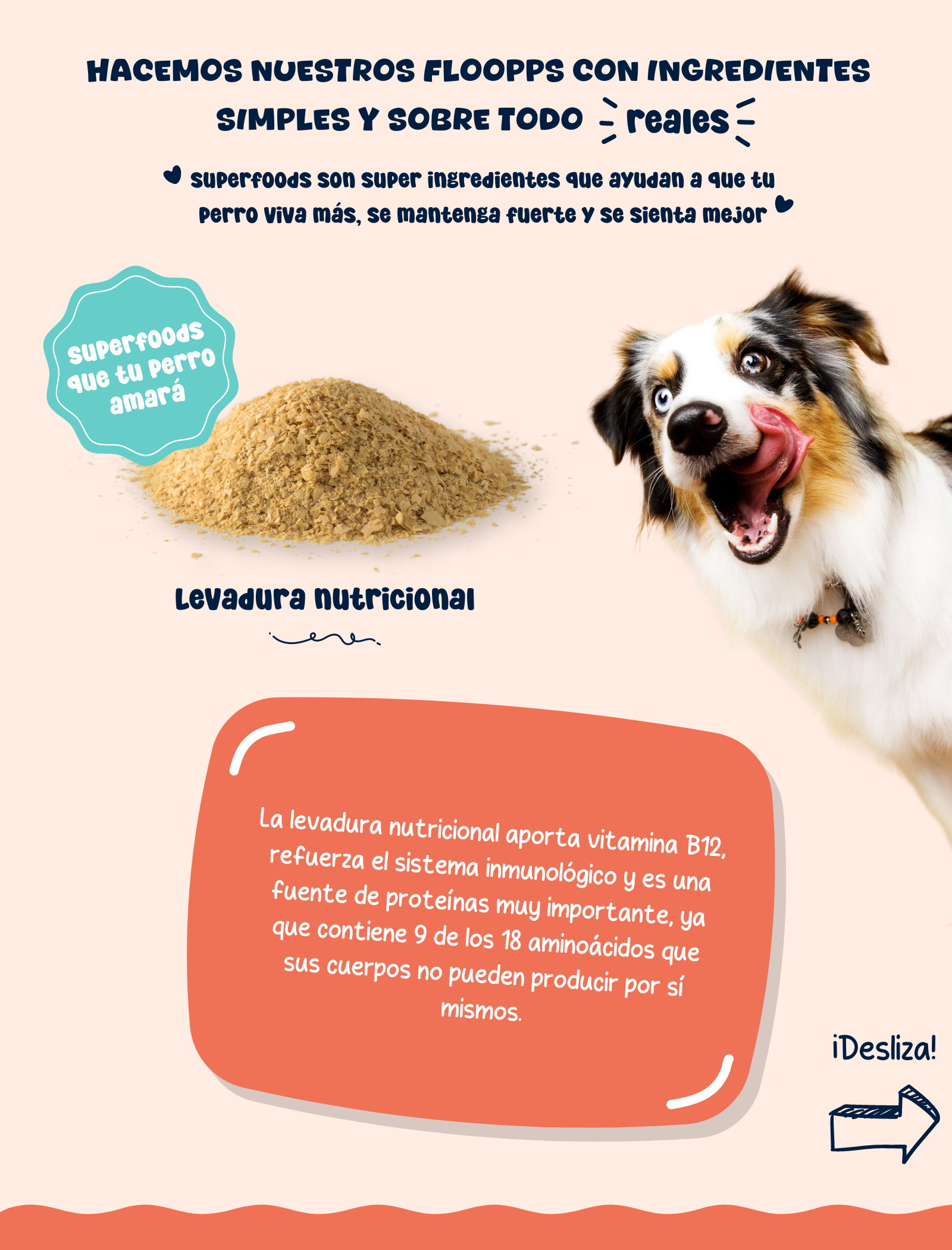 Ingredientes snacks y premios naturales para perros Floopp Bites - Levadura nutricional