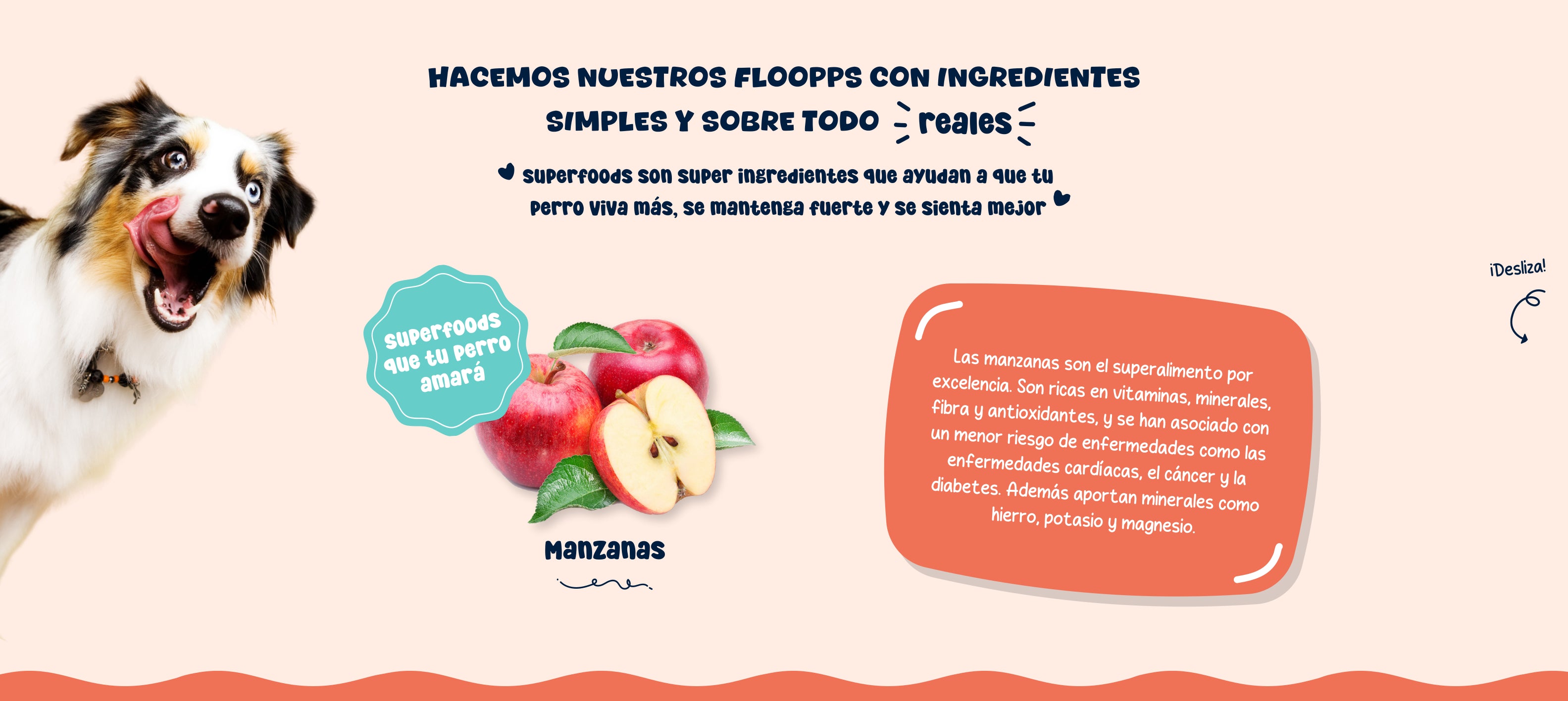 Ingredientes snacks y premios naturales para perros Floopp Bites - Manzanas