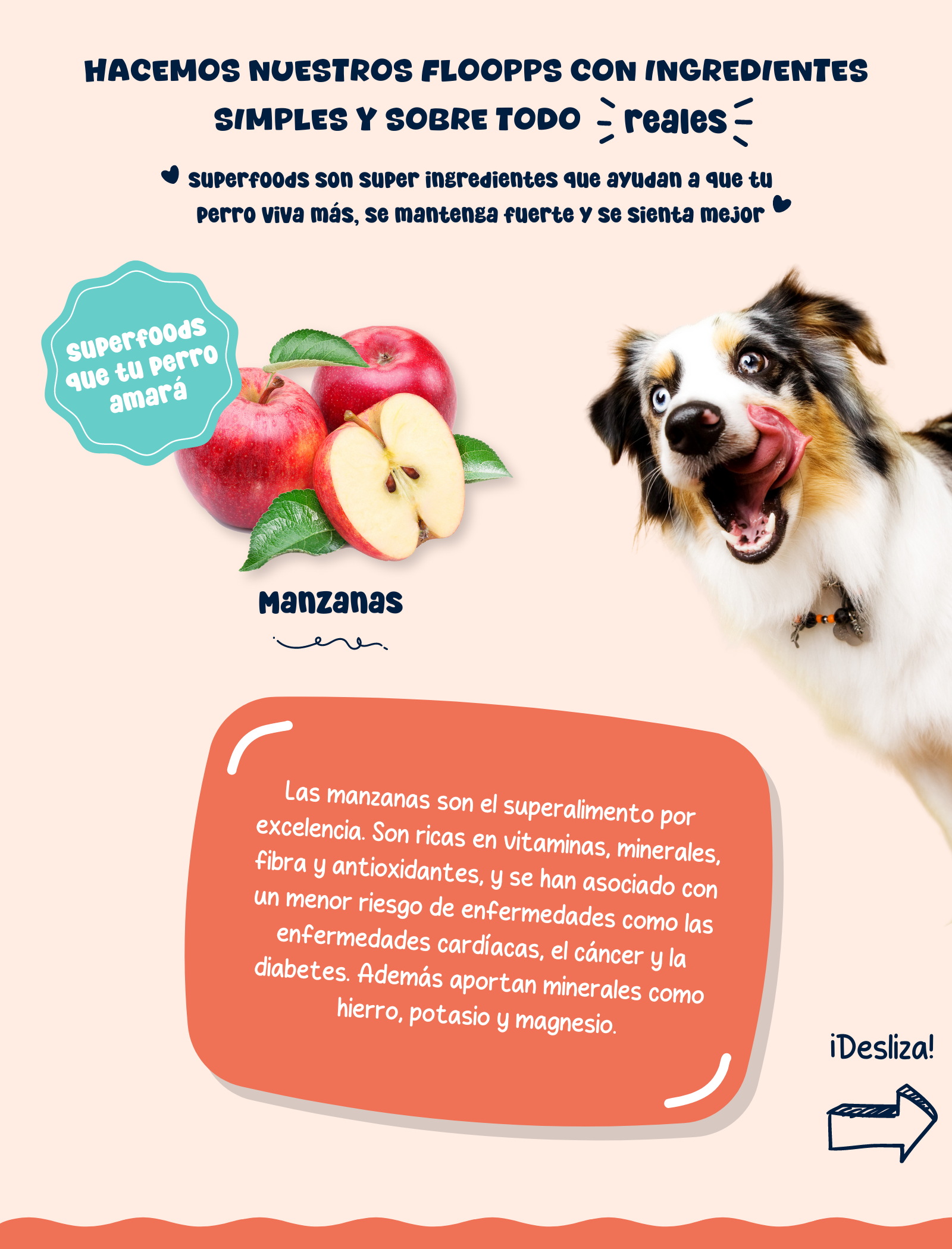 Ingredientes snacks y premios naturales para perros Floopp Bites - Manzanas