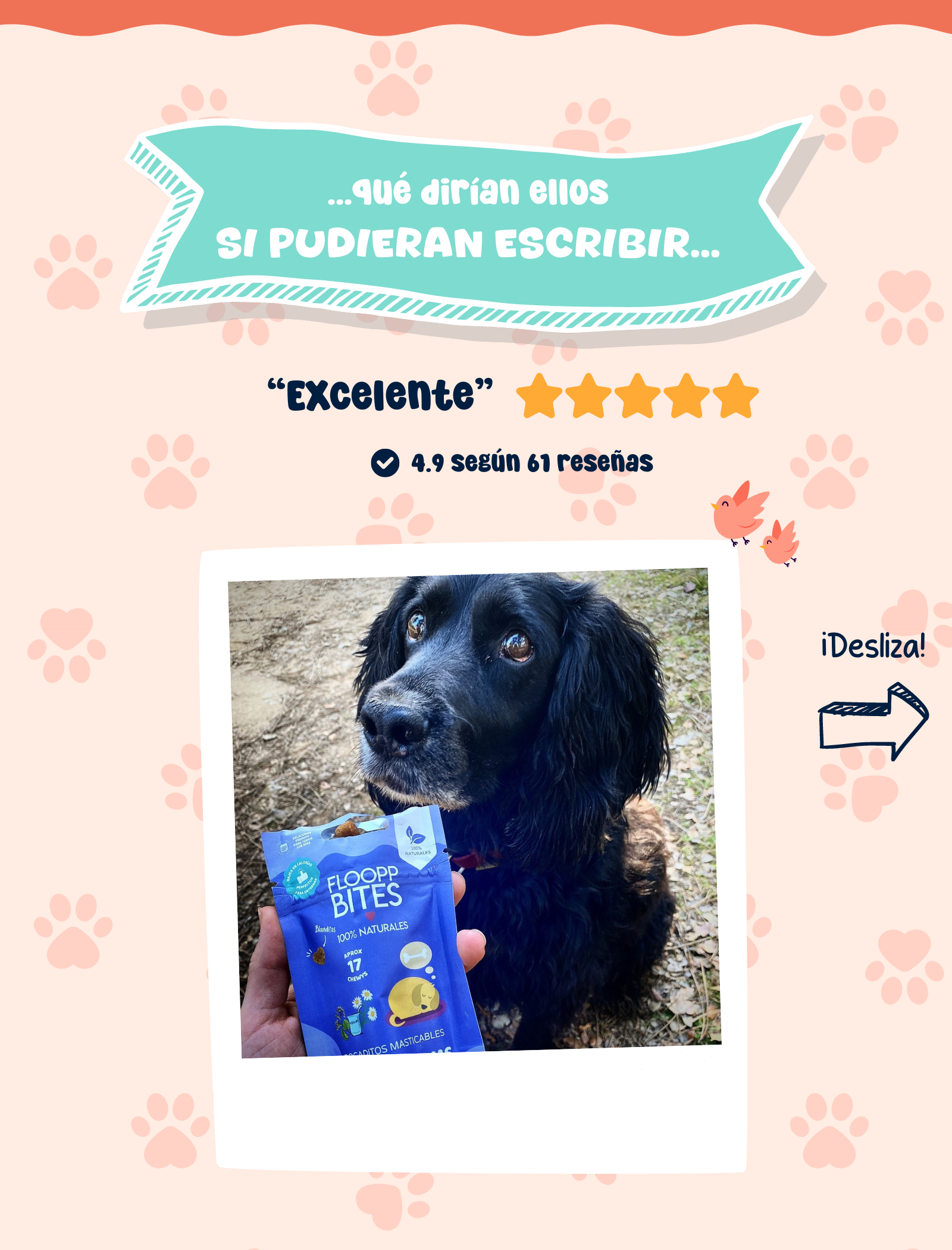 Snacks para perros naturales baratos - chuches relajantes para perros pequeños, medianos y grandes