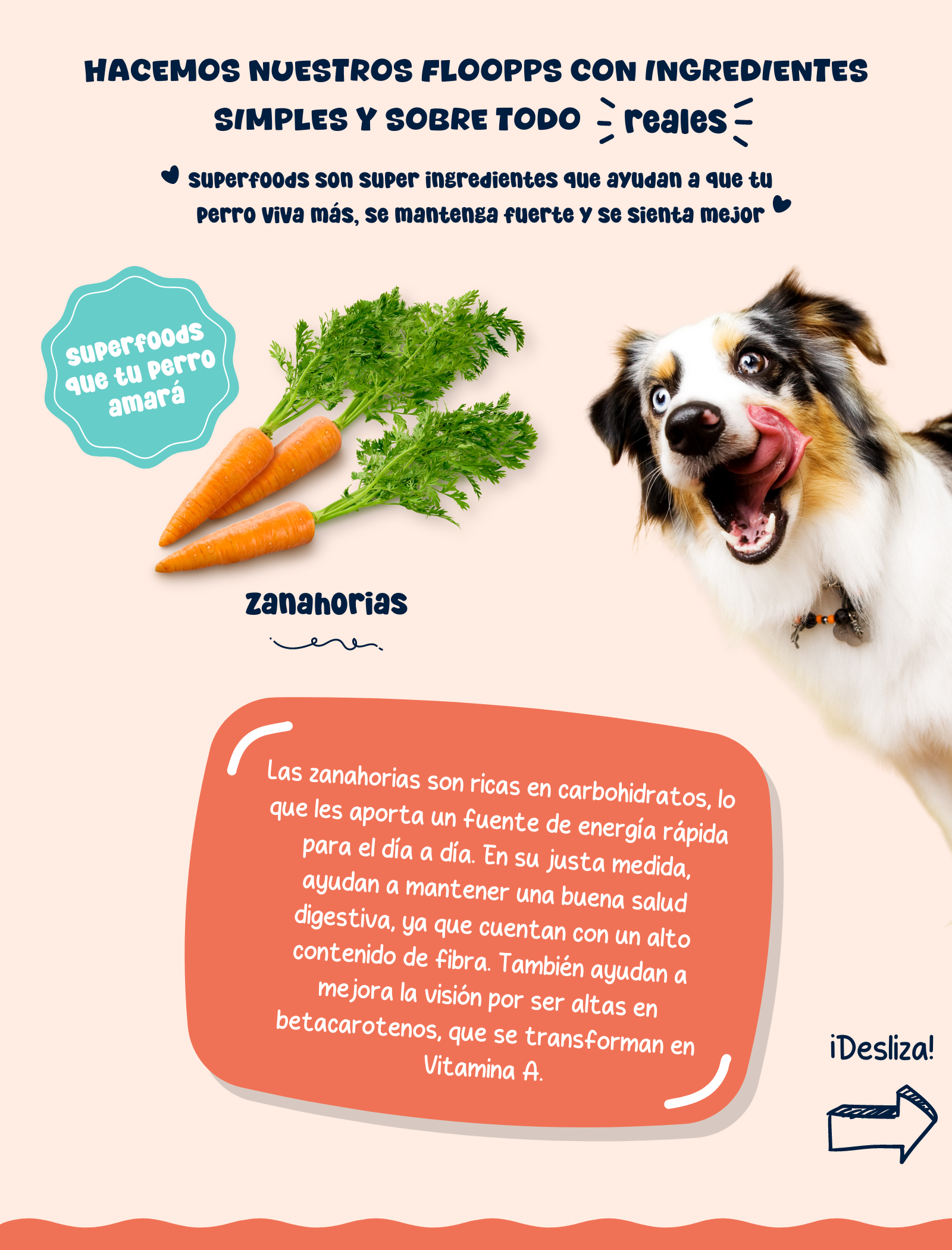 Ingredientes snacks y premios naturales para perros Floopp Bites - Zanahorias