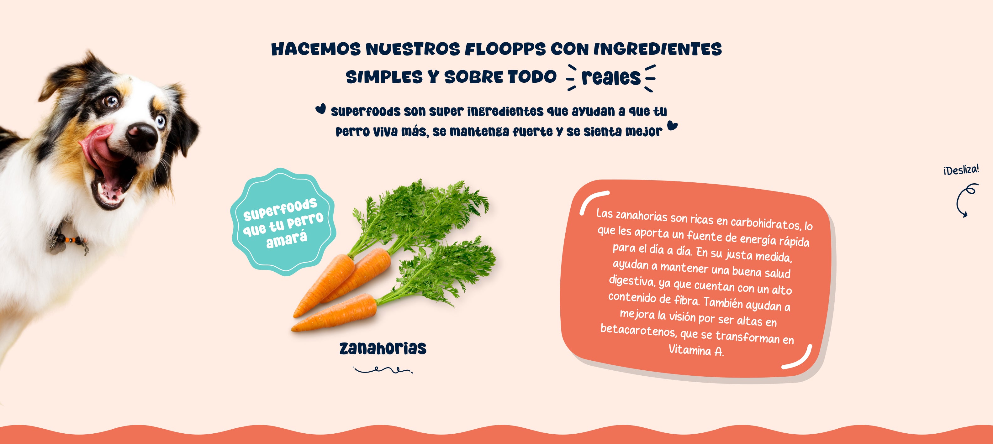 Ingredientes snacks y premios naturales para perros Floopp Bites - Zanahorias