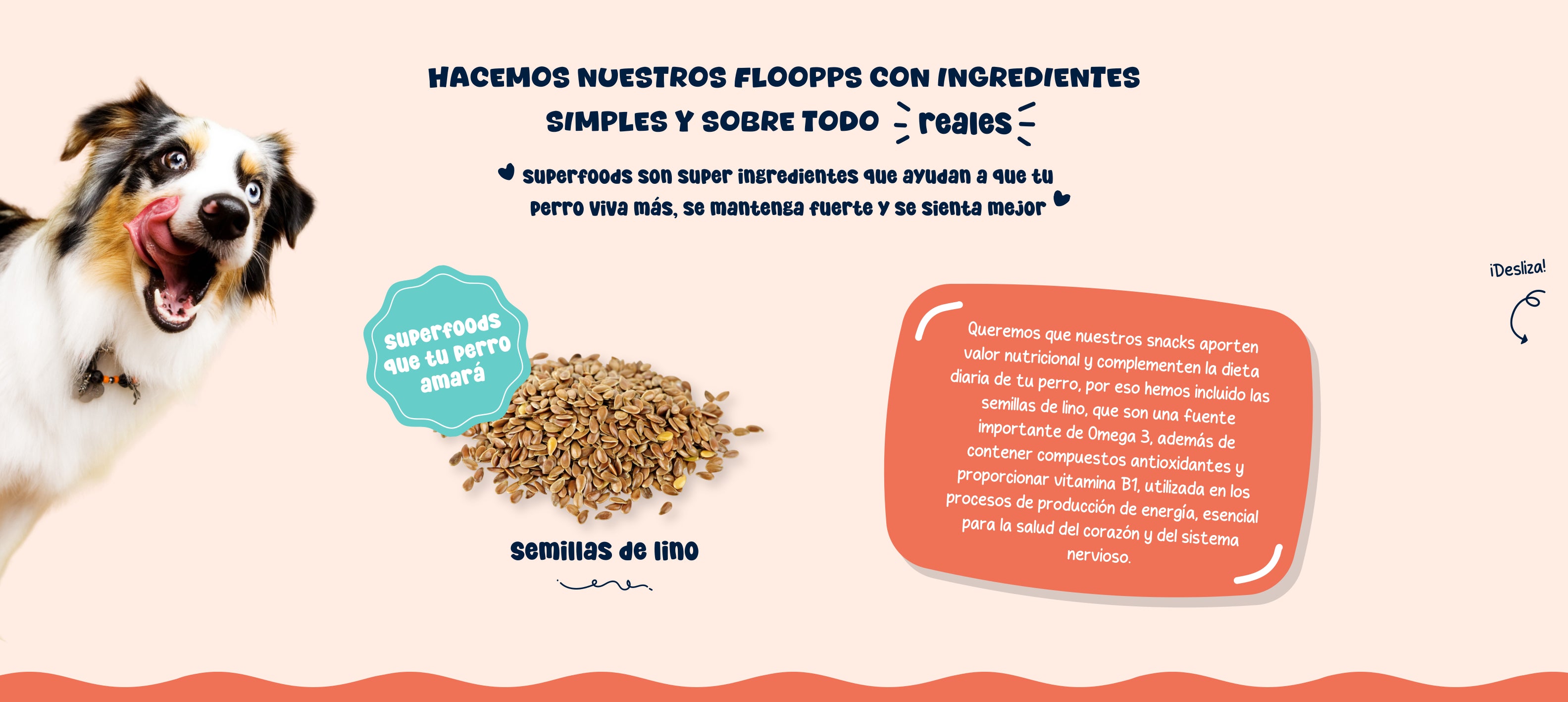 Ingredientes snacks y premios naturales para perros Floopp Bites - Semillas de lino