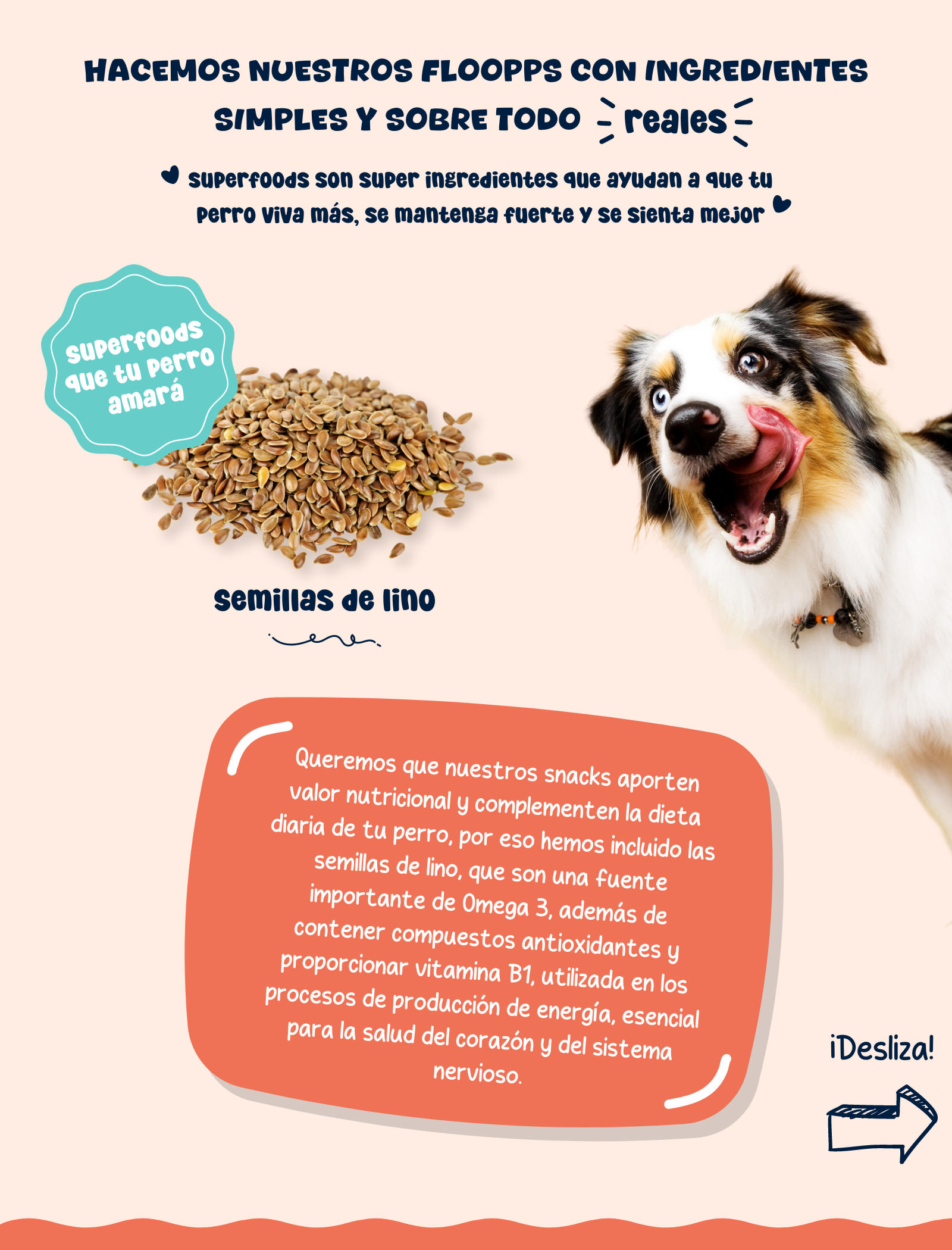 Ingredientes snacks y premios naturales para perros Floopp Bites - Semillas de lino