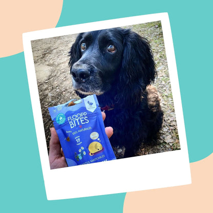 Bocados snacks para perros relajantes con yogurt, manzanilla y tila