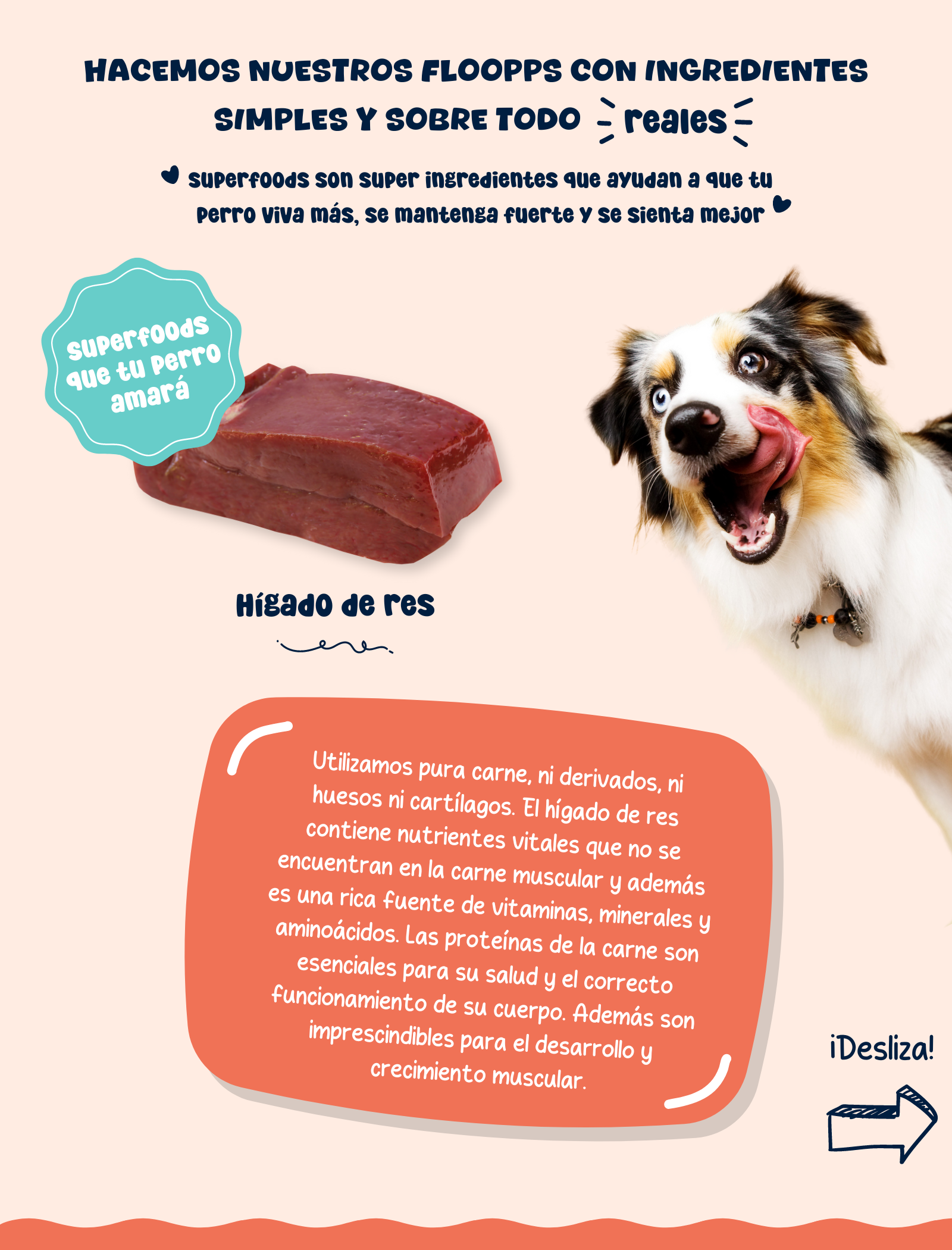 Ingredientes snacks y premios naturales para perros Floopp Bites - Hígado de res