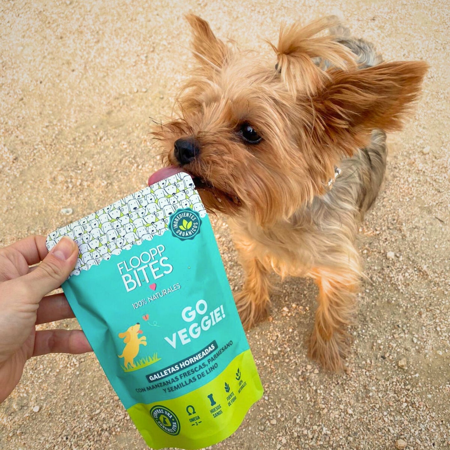 Go Veggie! Cookie 5 Pack
