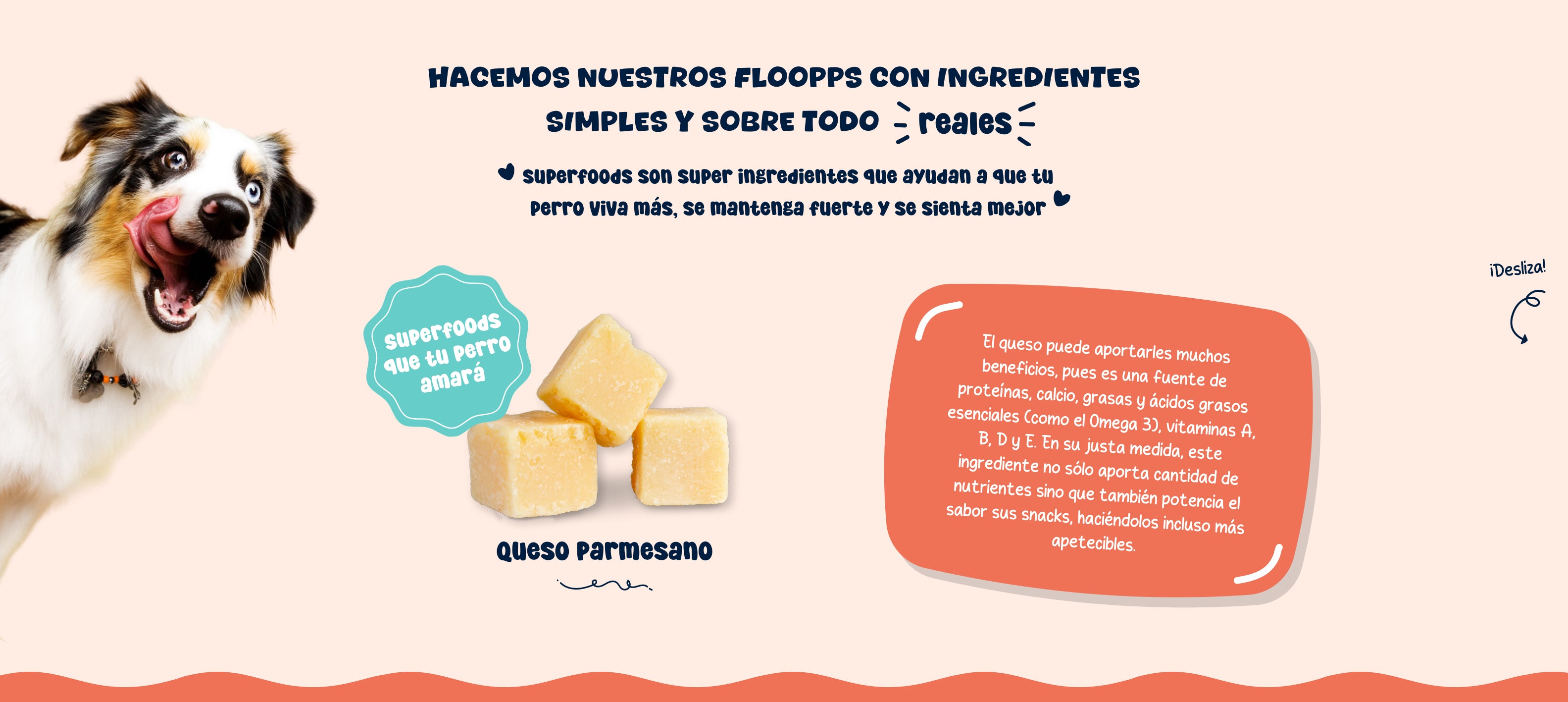 Ingredientes snacks y premios naturales para perros Floopp Bites - Queso