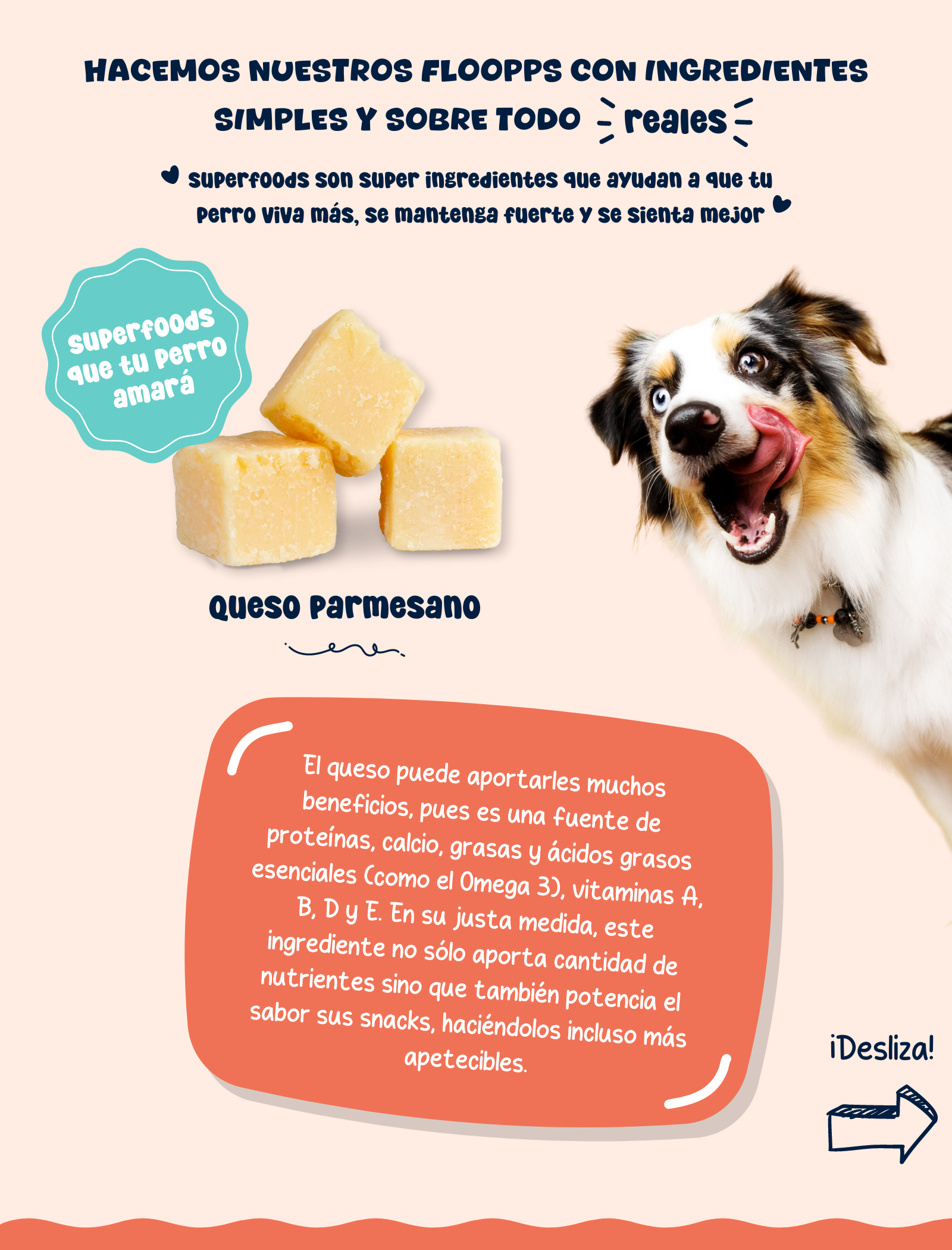 Ingredientes snacks y premios naturales para perros Floopp Bites - Queso