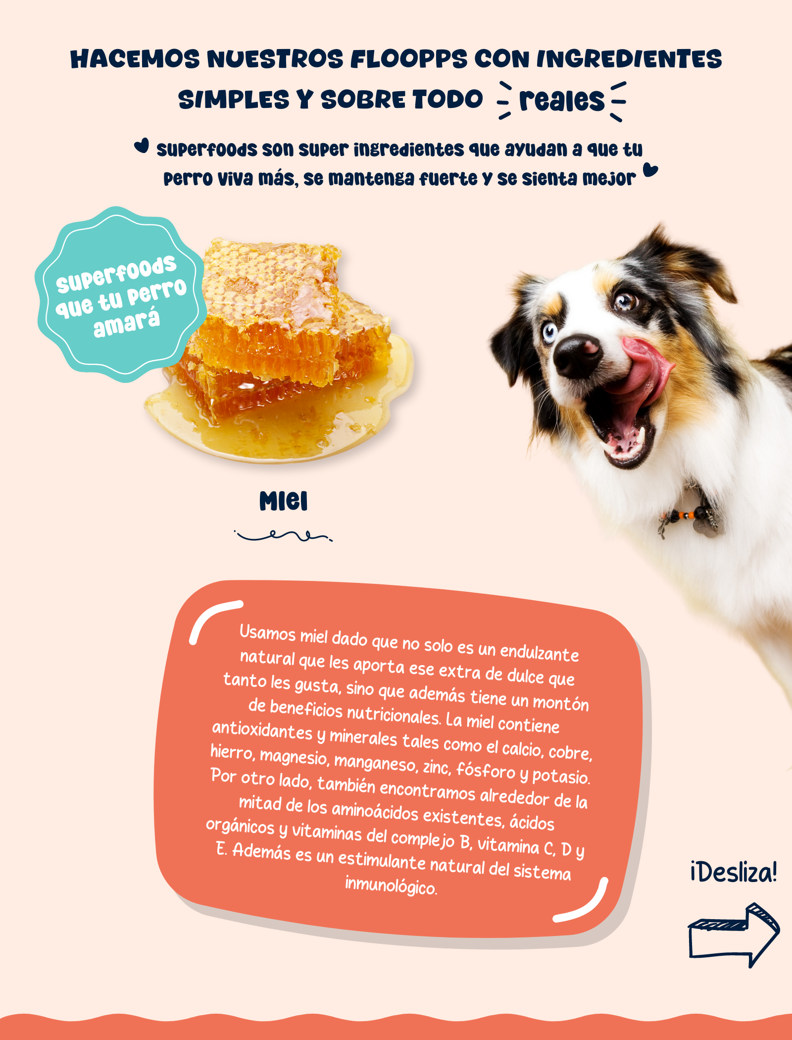 Ingredientes snacks y premios naturales para perros Floopp Bites - Miel