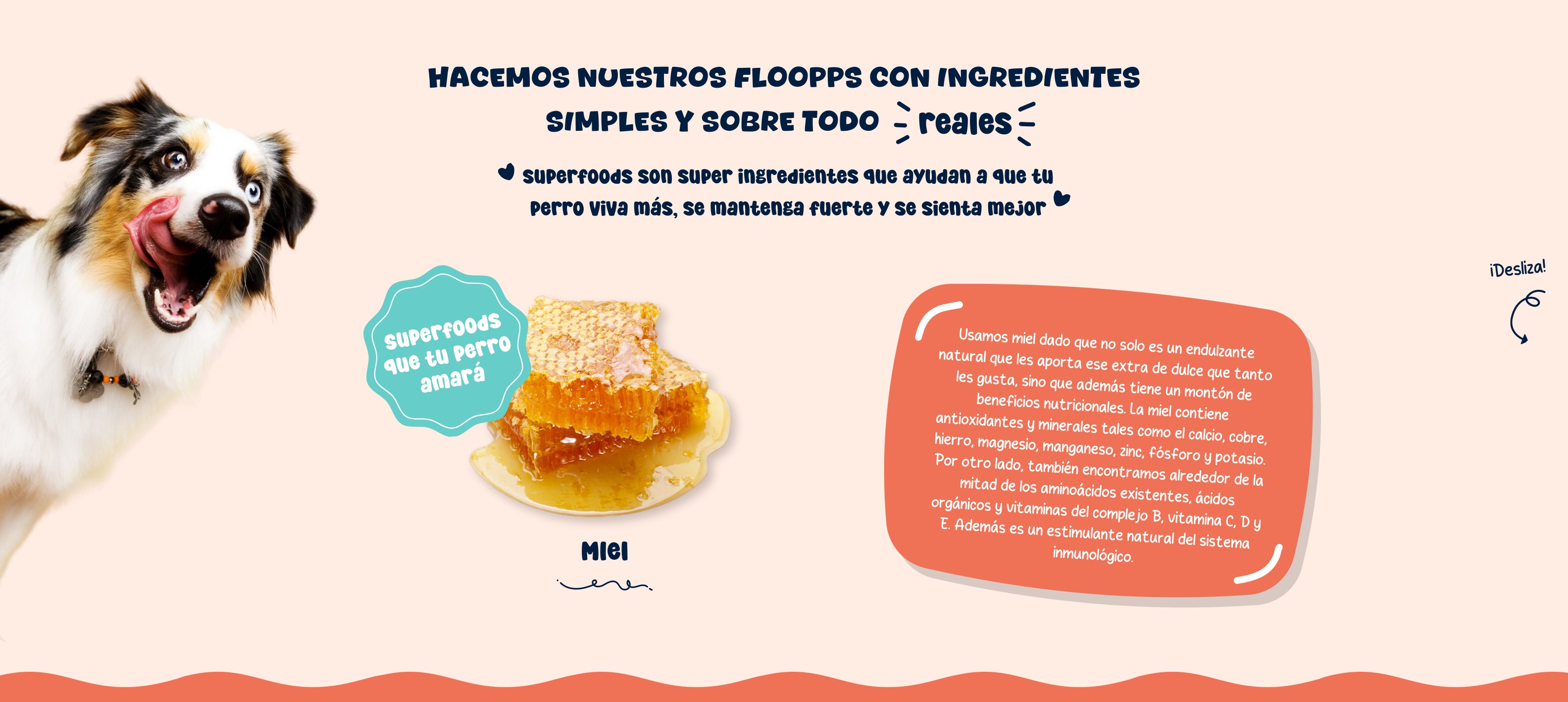 Ingredientes snacks y premios naturales para perros Floopp Bites - Miel