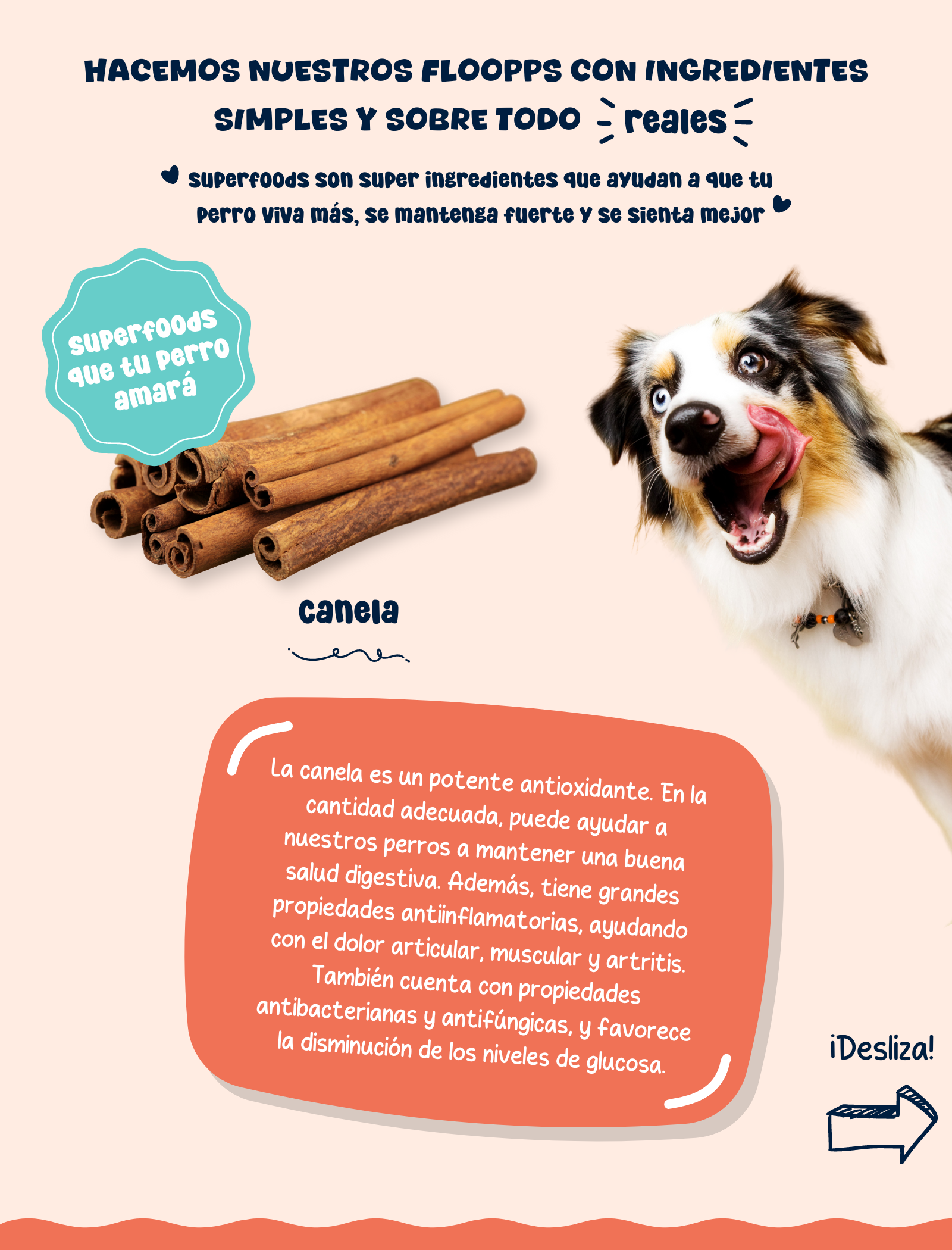 Ingredientes snacks y premios naturales para perros Floopp Bites - Canela