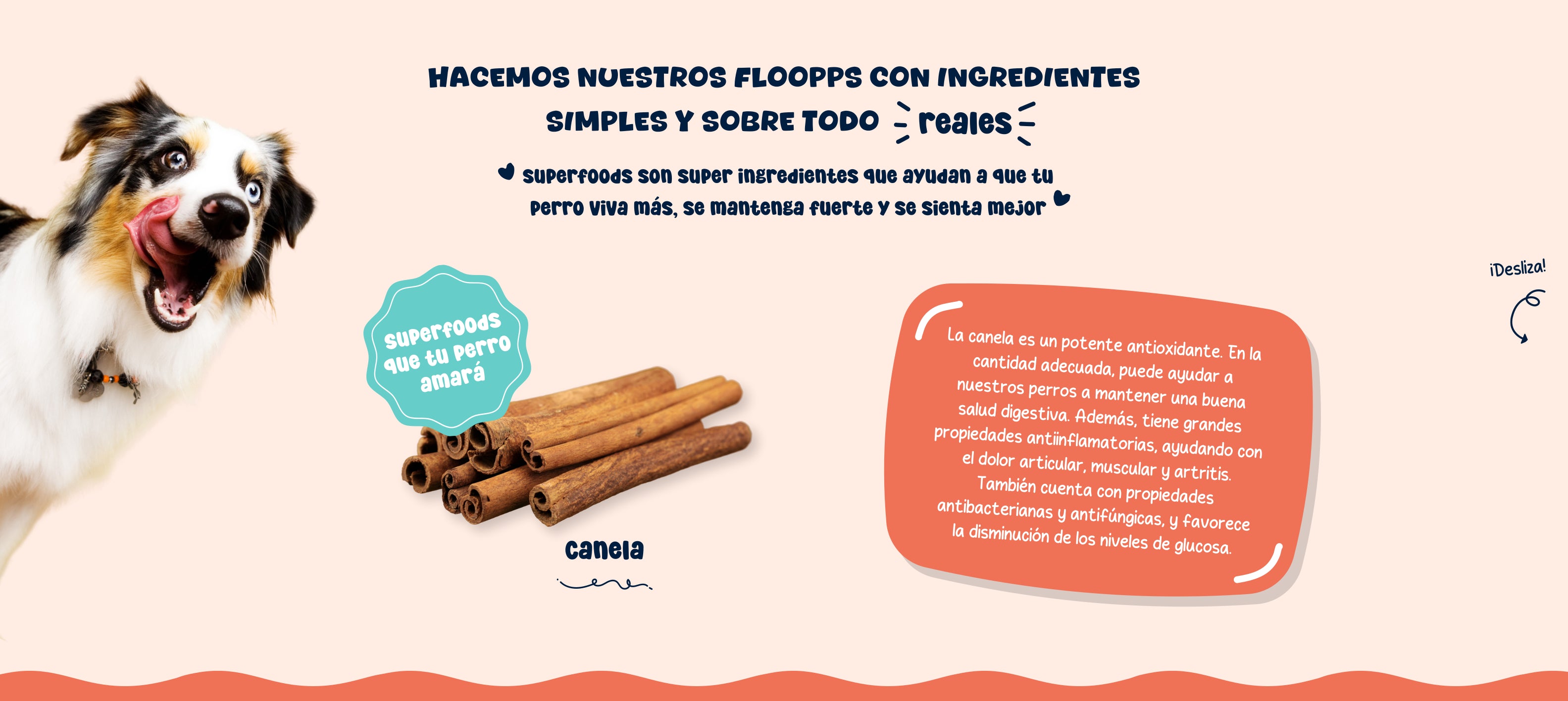 Ingredientes snacks y premios naturales para perros Floopp Bites - Canela