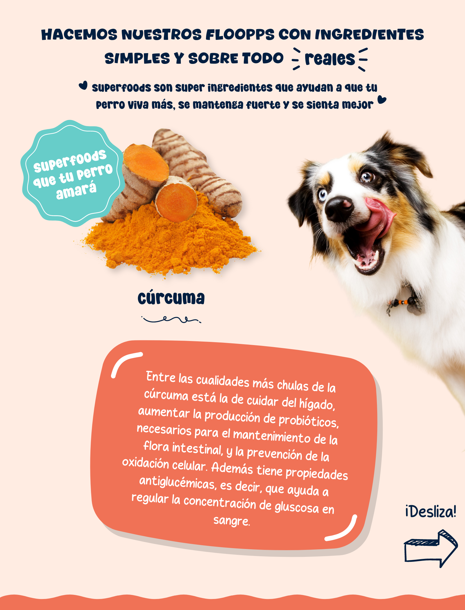 Ingredientes snacks y premios naturales para perros Floopp Bites - Cúrcuma