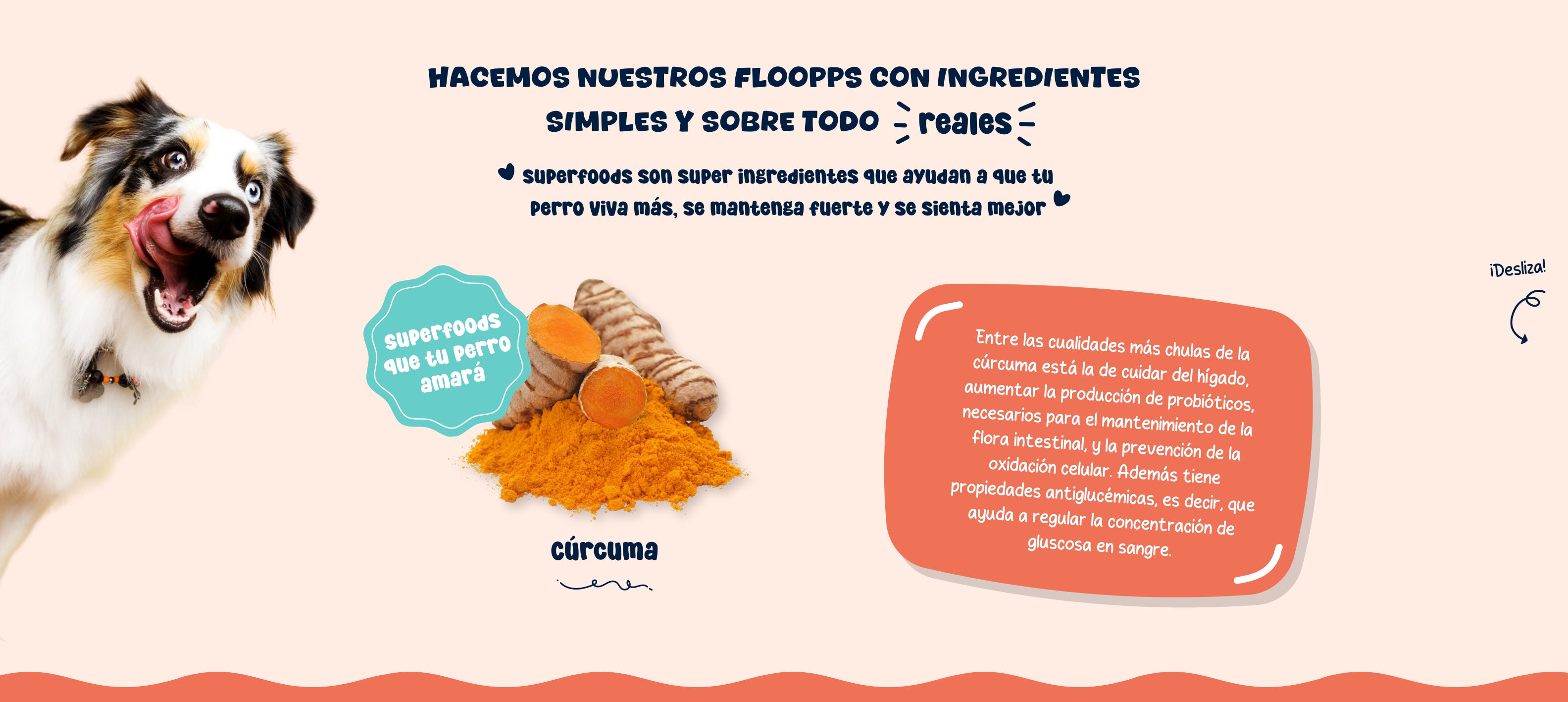 Ingredientes snacks y premios naturales para perros Floopp Bites - Cúrcuma